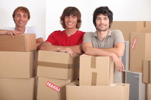 Man with van in Surrey preparing for a residential or office move