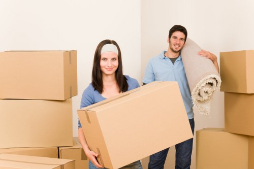 Local Surrey removals van serving a flat or townhouse move