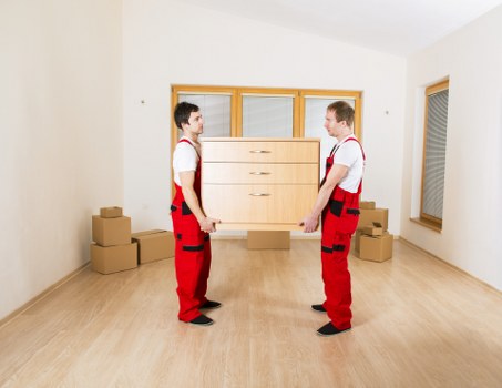 Image representing accessibility support for Movers Surrey